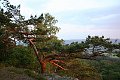 IMG_0074