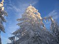 IMG_0075