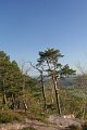 IMG_0102