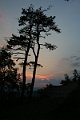 IMG_0134