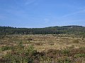 IMG_9508