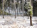 IMG_1004