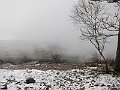 IMG_1009