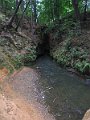 IMG_6077