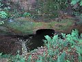 IMG_6096