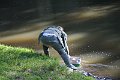 IMG_1545