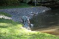 IMG_1548