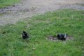 IMG_1662