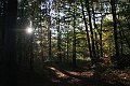 IMG_1715