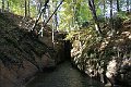 IMG_1832