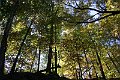 IMG_1844