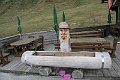 IMG_2461