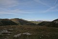 IMG_2491