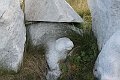 IMG_2494