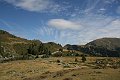 IMG_2600