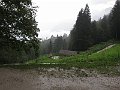 IMG_4558