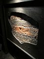 IMG_4580