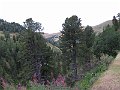 IMG_4675