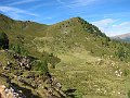IMG_4729