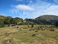 IMG_4747