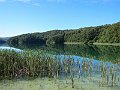 IMG_4757