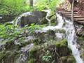 IMG_4776