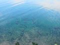 IMG_4804