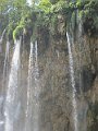 IMG_4818