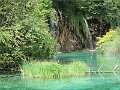 IMG_4833