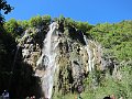 IMG_4858
