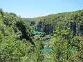 IMG_4869