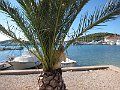 IMG_4890