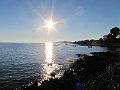 IMG_4950