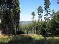 IMG_2553