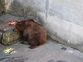 IMG_2628