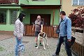 IMG_1520