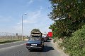 DSC02879