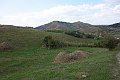 DSC02954