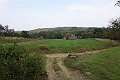 DSC03235