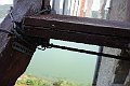 DSC03265