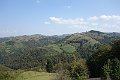DSC03373