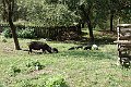 DSC03377