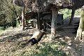 DSC03382