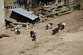 DSC03389