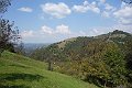 DSC03391