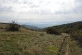 DSC03440