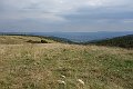 DSC03503