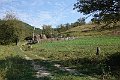 DSC03539