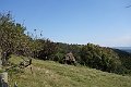 DSC03555