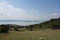 DSC03584